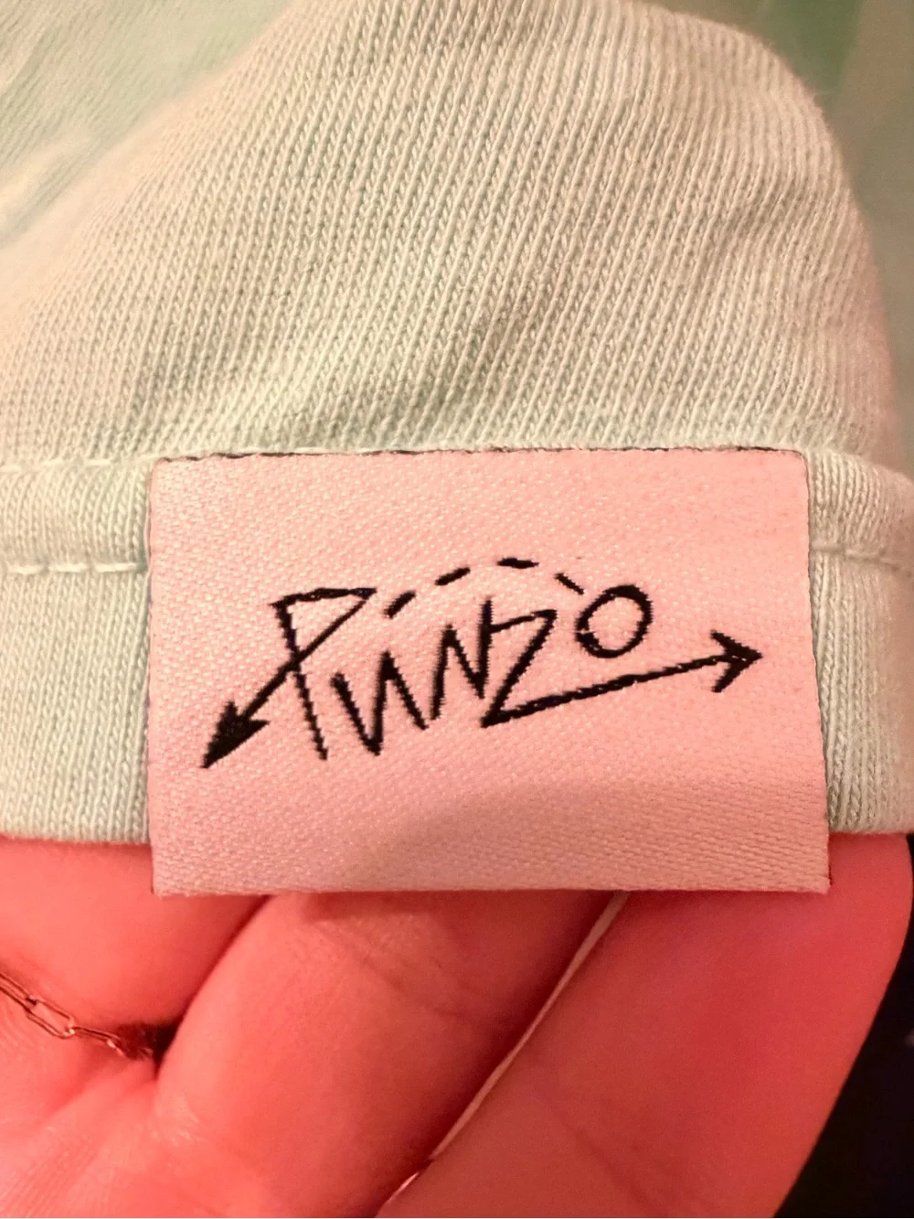 Punz Men's Crewneck T-Shirt in Mint Green